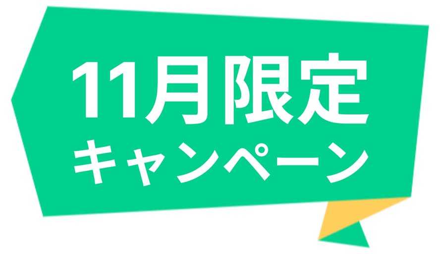 11月限定キャンペーン